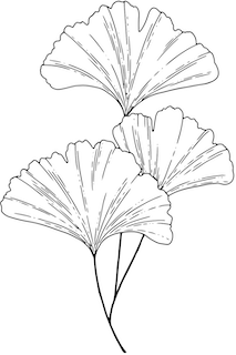 Ginkgo logo